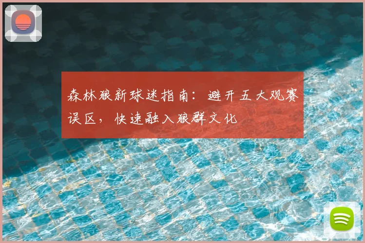 森林狼新球迷指南：避开五大观赛误区，快速融入狼群文化