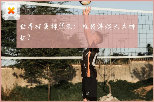 世界杯集锦预测：谁将捧起大力神杯？