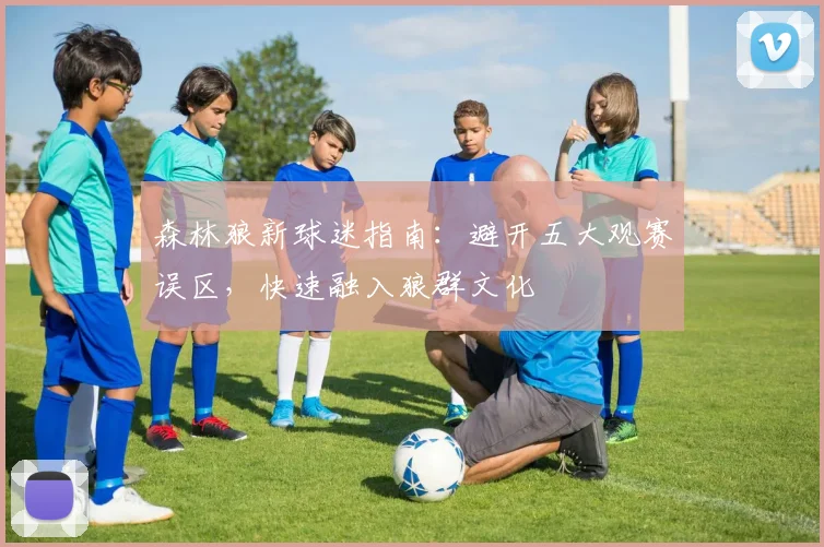 森林狼新球迷指南：避开五大观赛误区，快速融入狼群文化